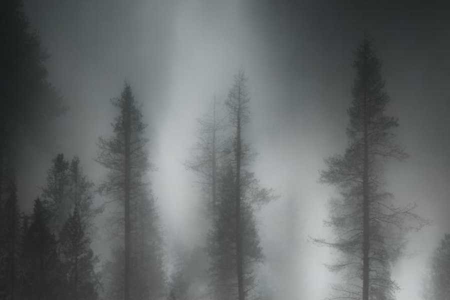 Квест в реальности Спасите наши души от компании Атлант Квест в реальности Спасите наши души от компании Атлант